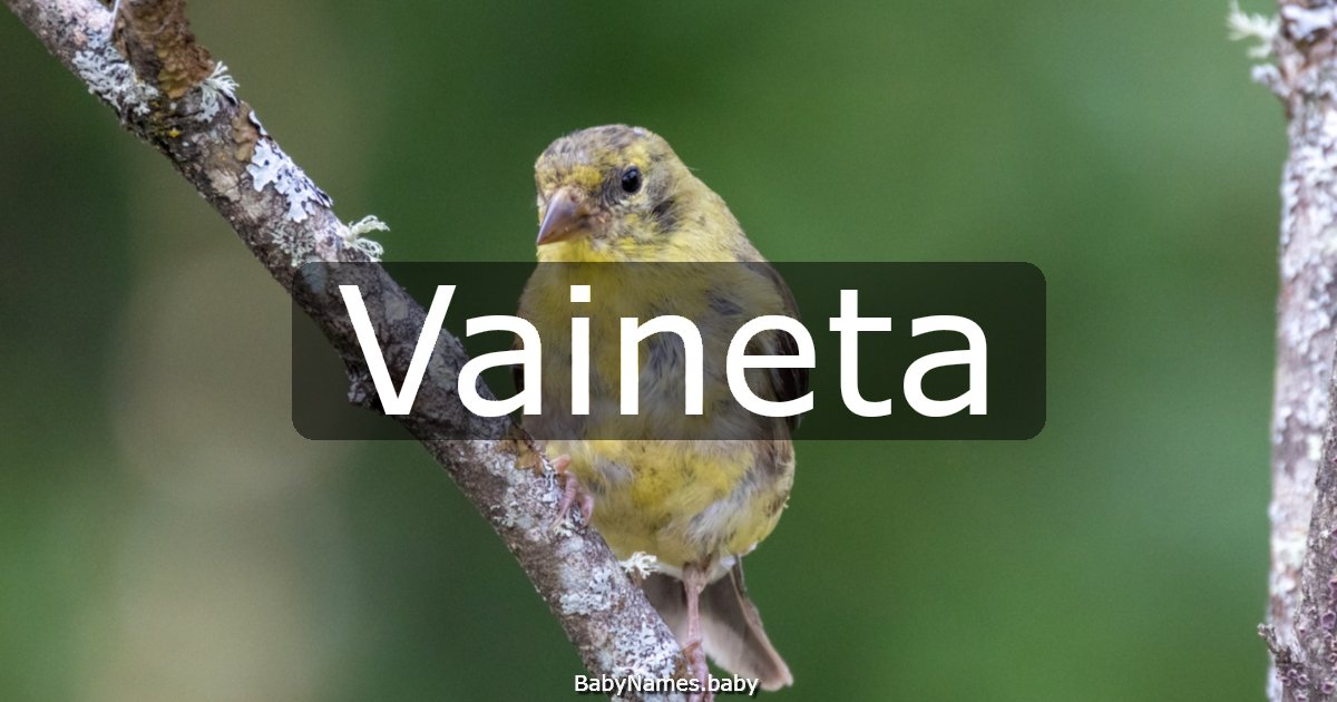 Vaineta