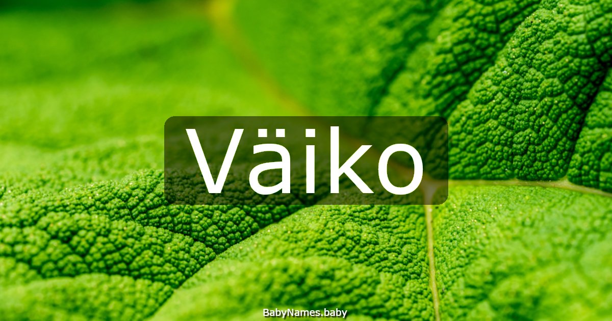 Väiko