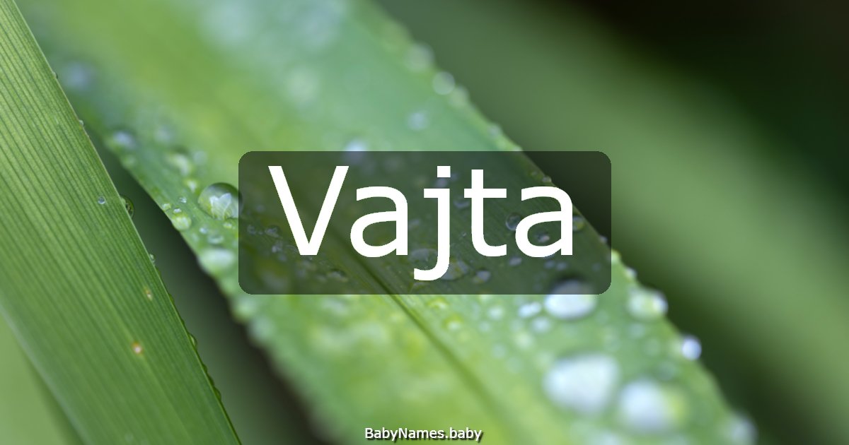 Vajta