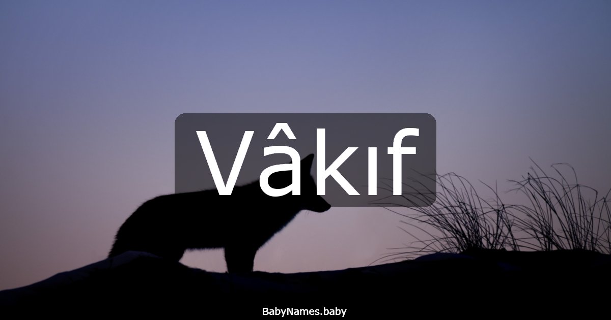 Vâkıf