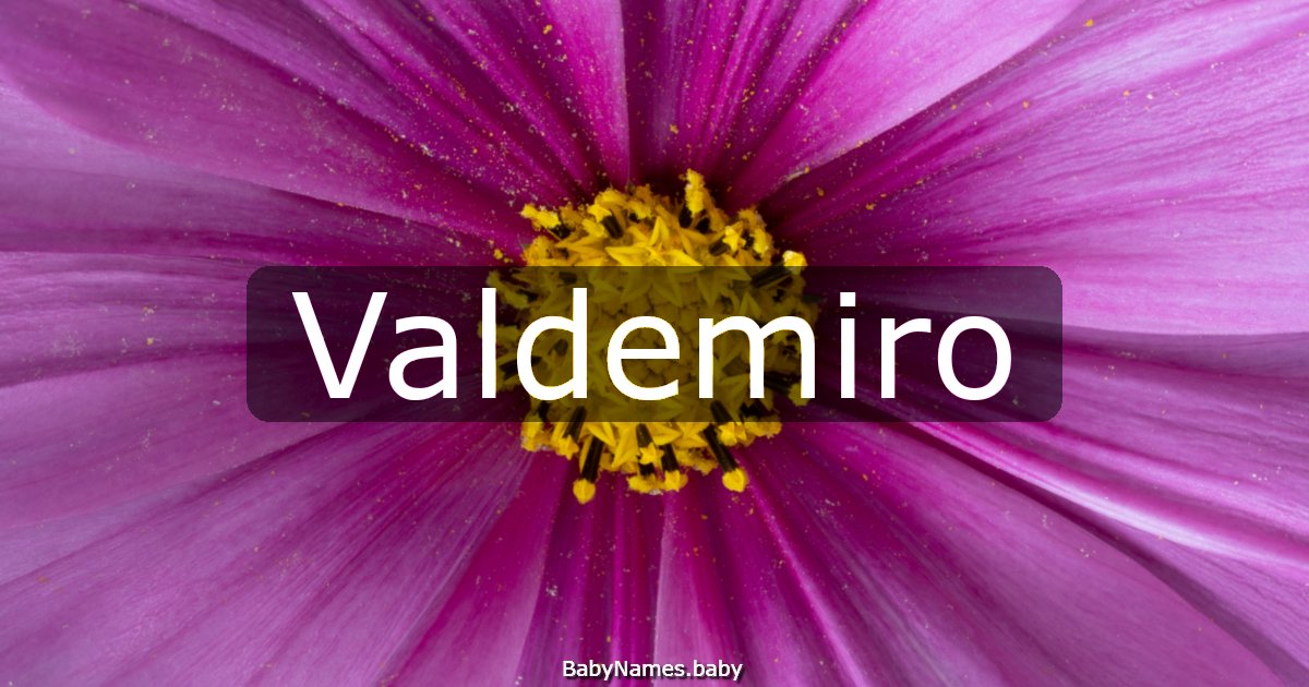 Valdemiro