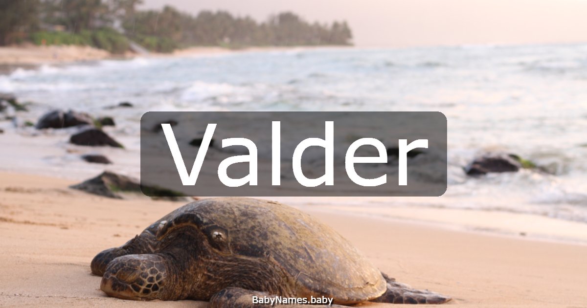Valder