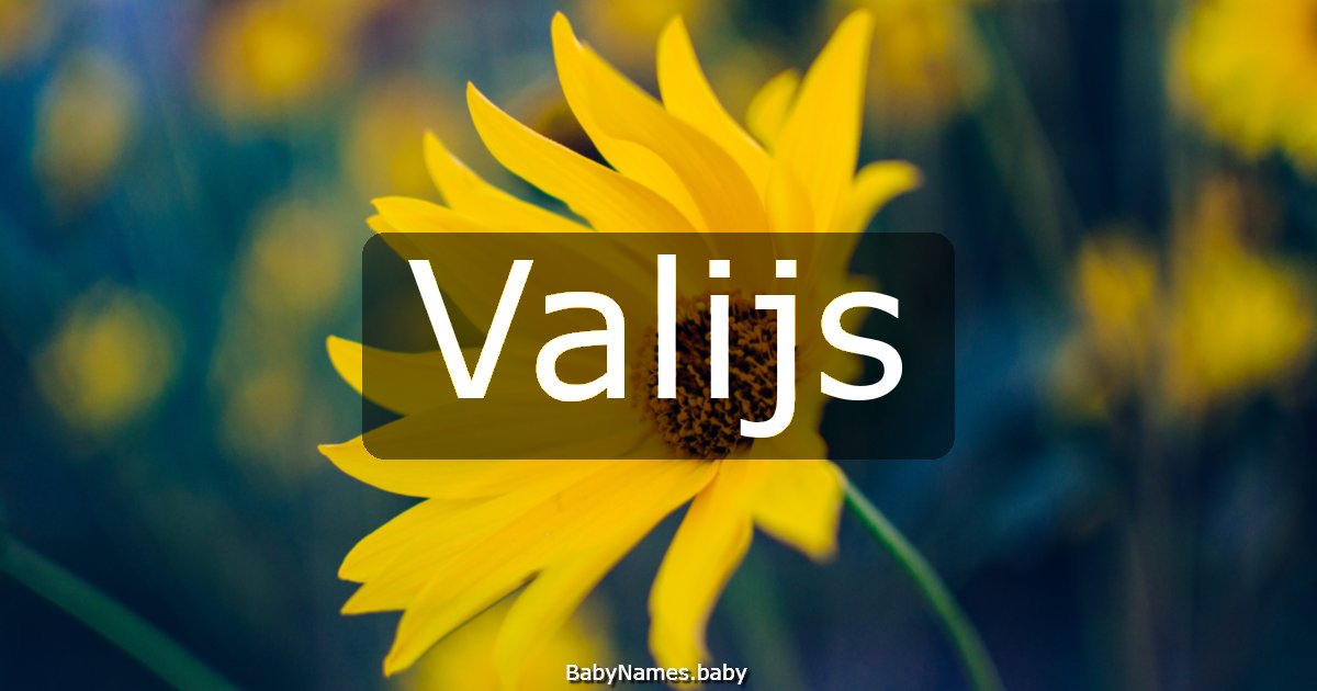 Valijs