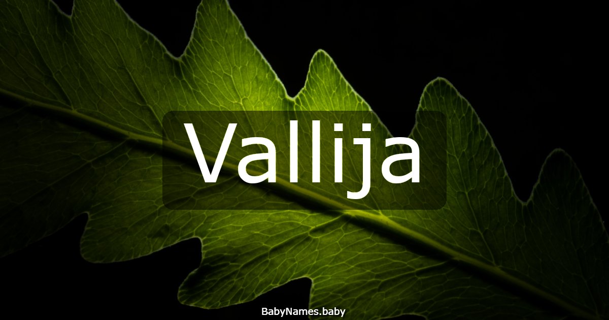 Vallija