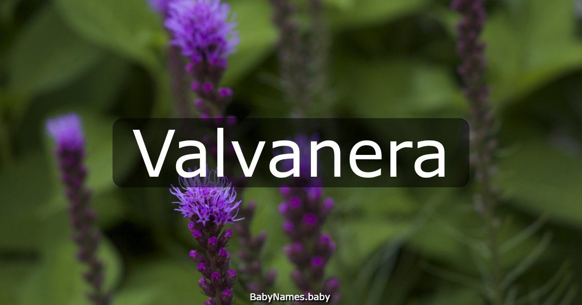 Valvanera
