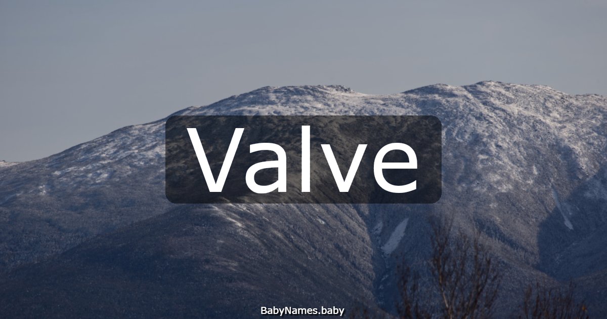 Valve