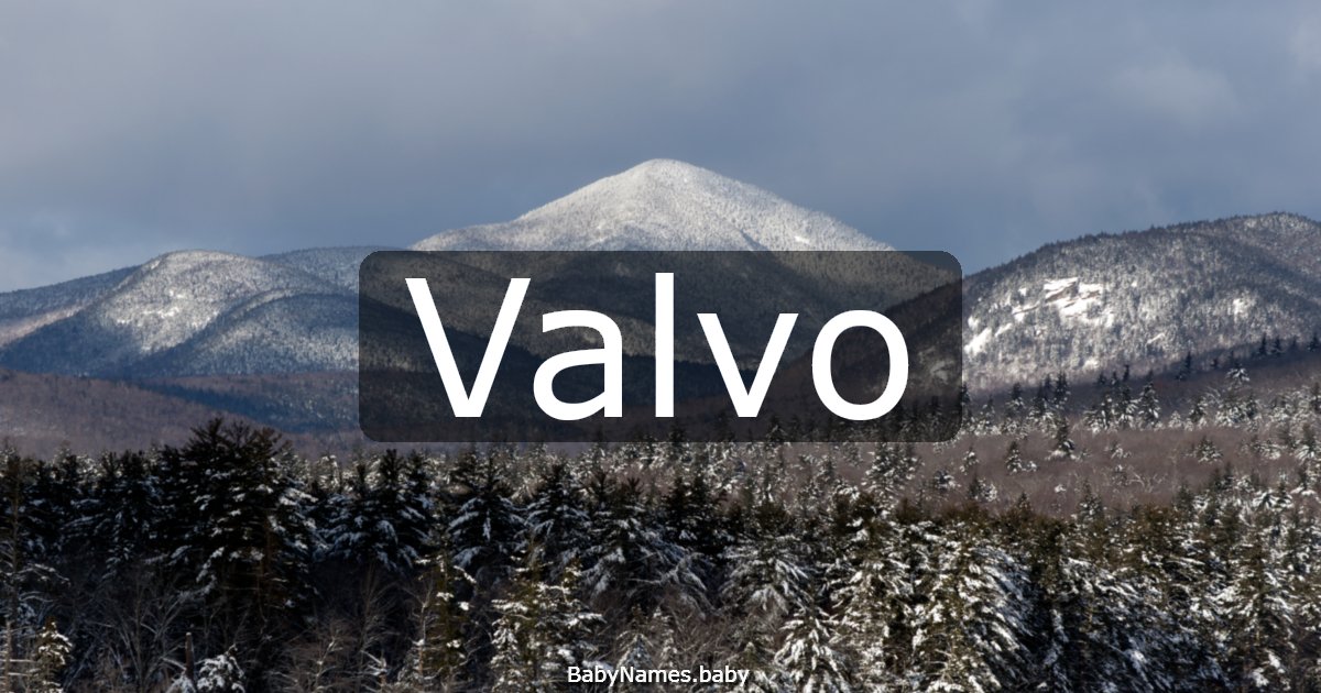 Valvo