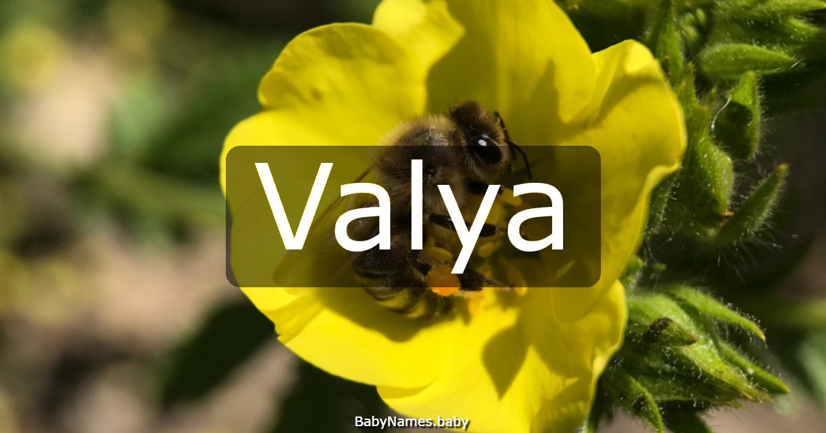 Valya