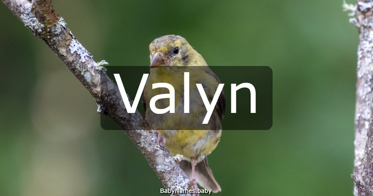 Valyn