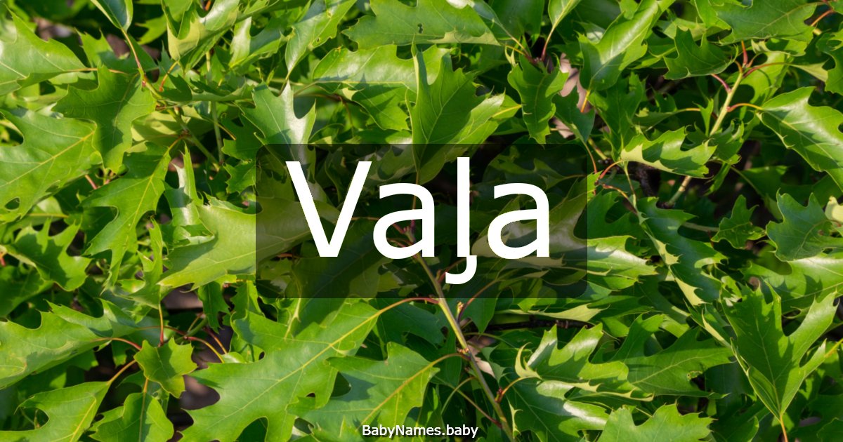 Vaļa