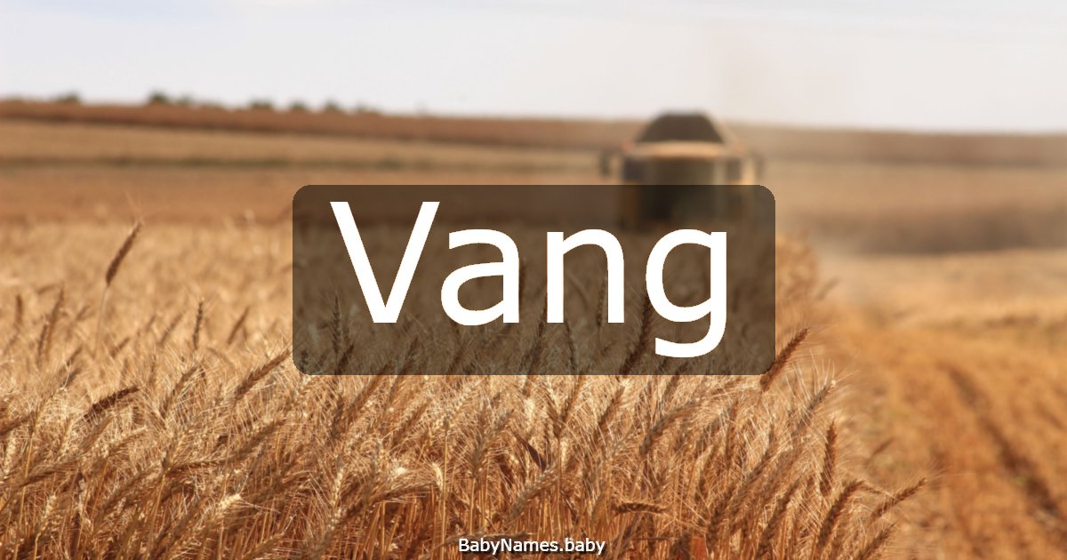 Vang