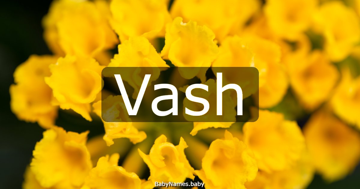 Vash