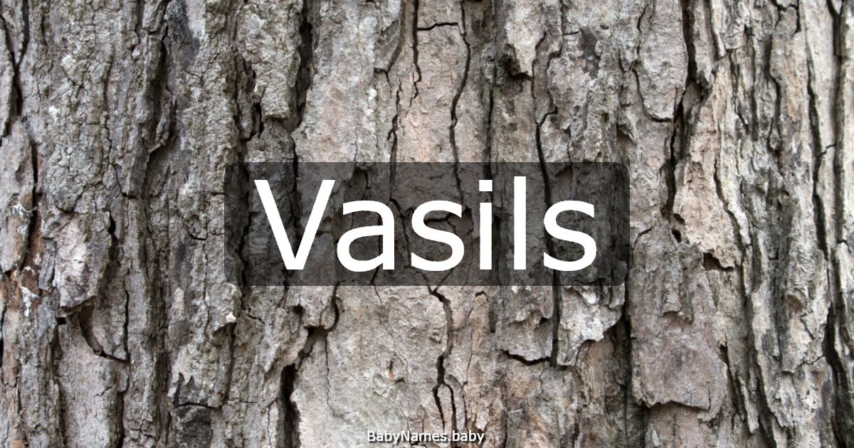 Vasils
