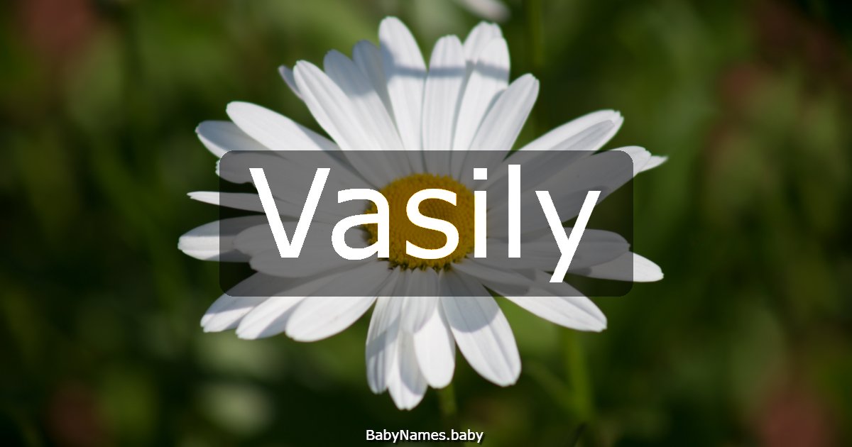 Vasily