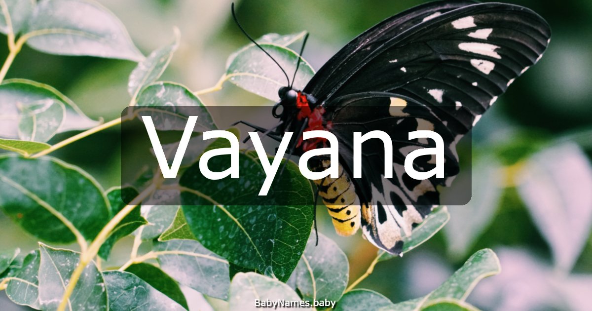 Vayana