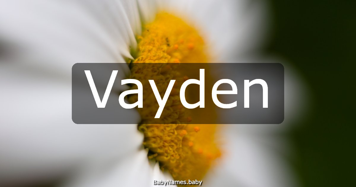 Vayden