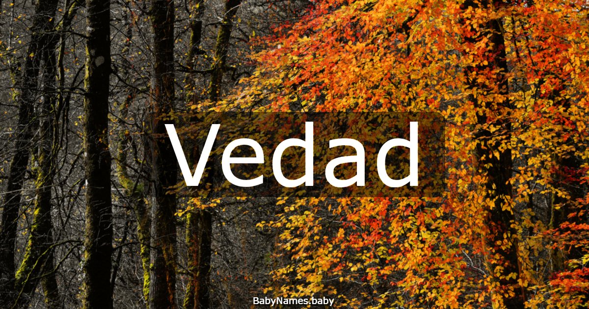 Vedad
