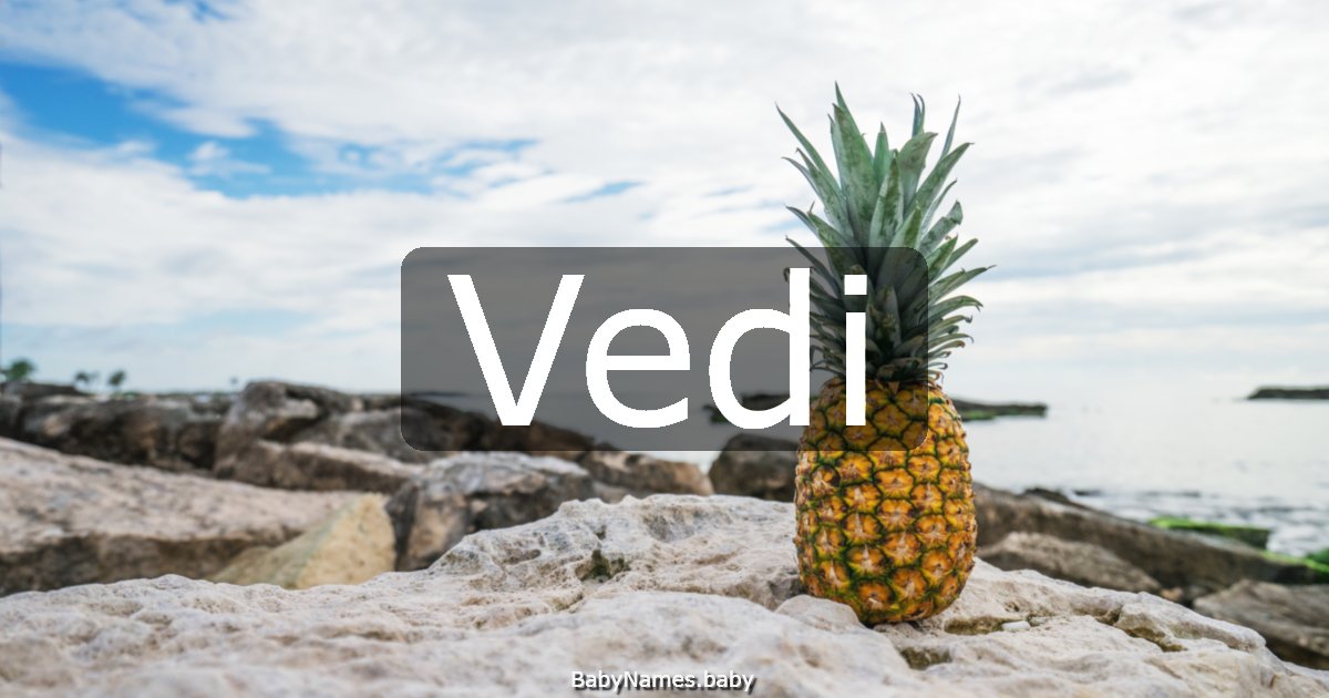 Vedi