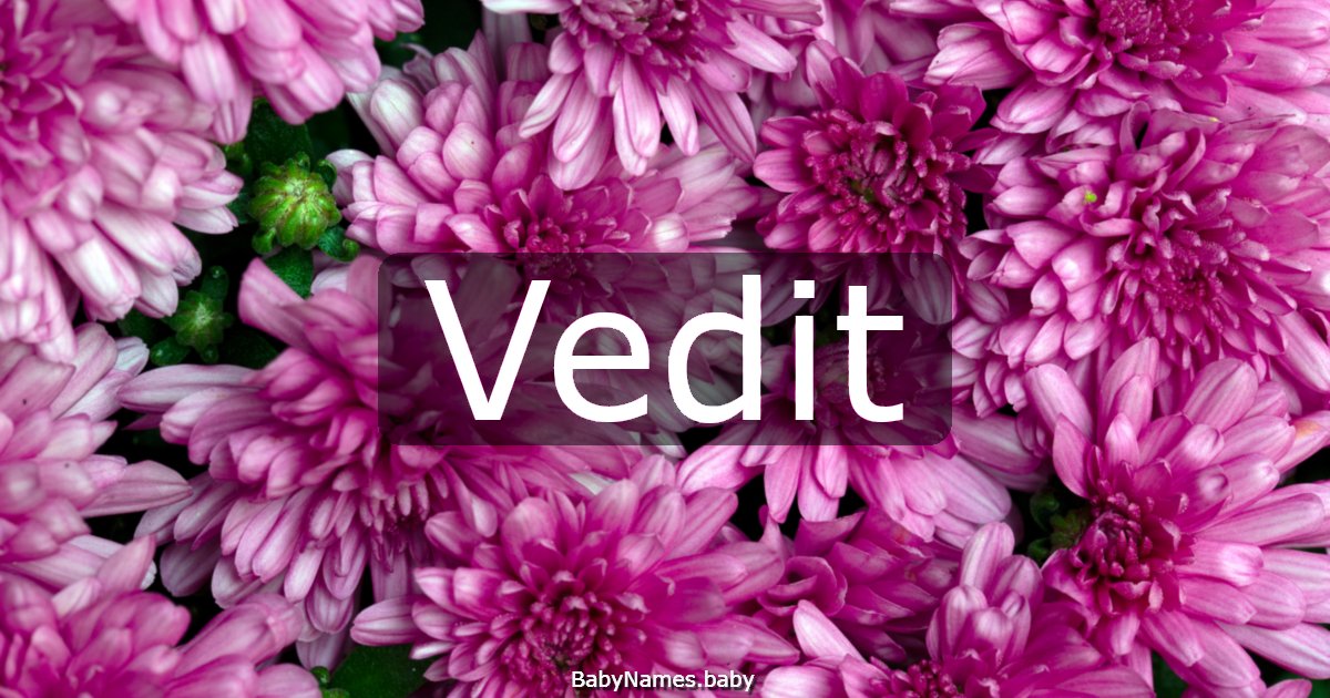 Vedit