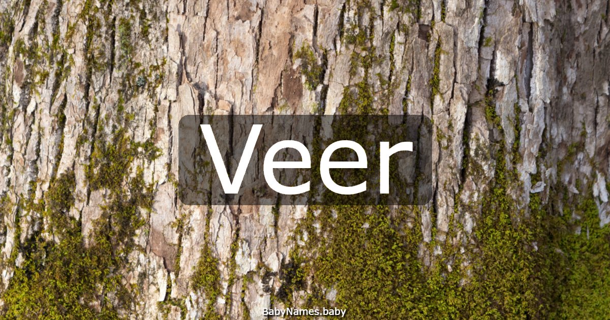 Veer