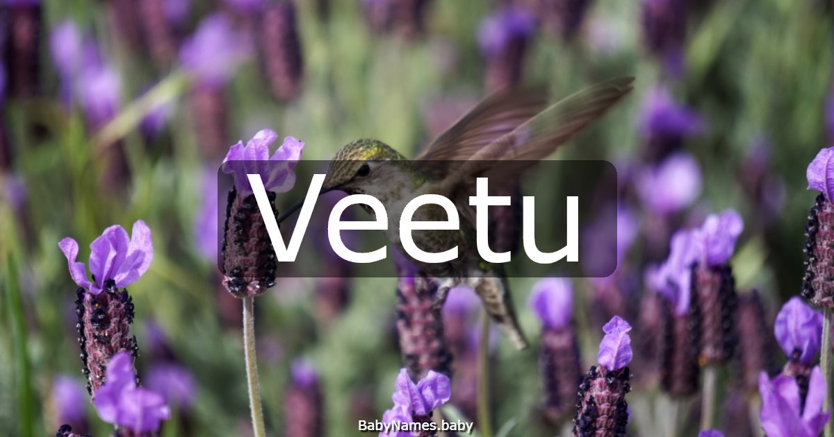 Veetu