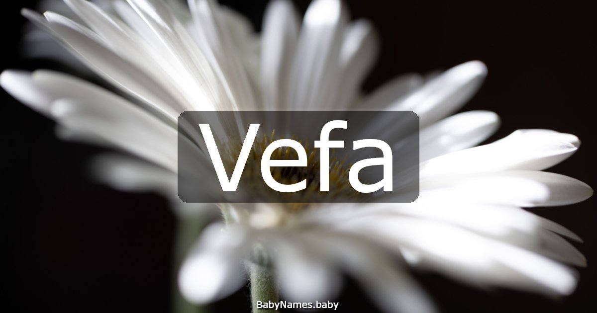 Vefa
