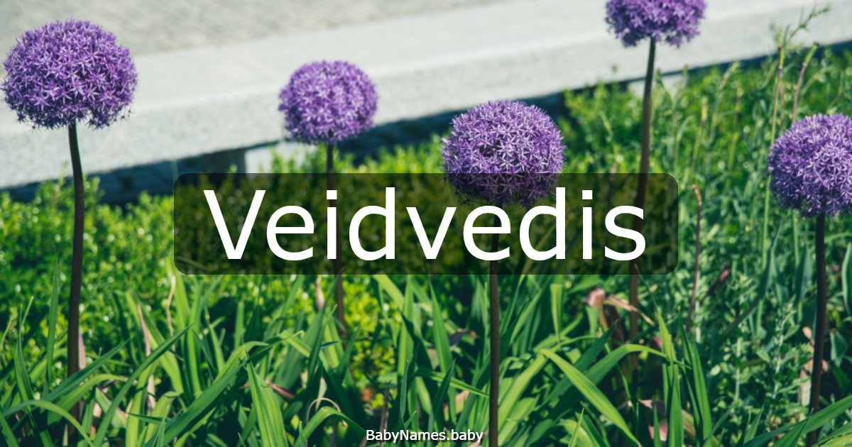 Veidvedis