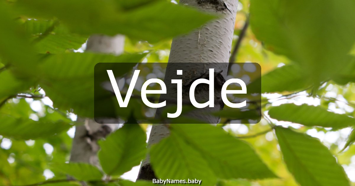 Vejde