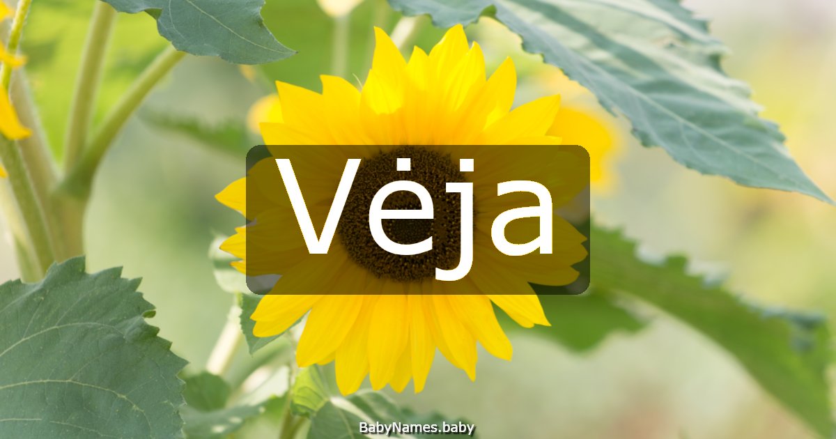 Vėja