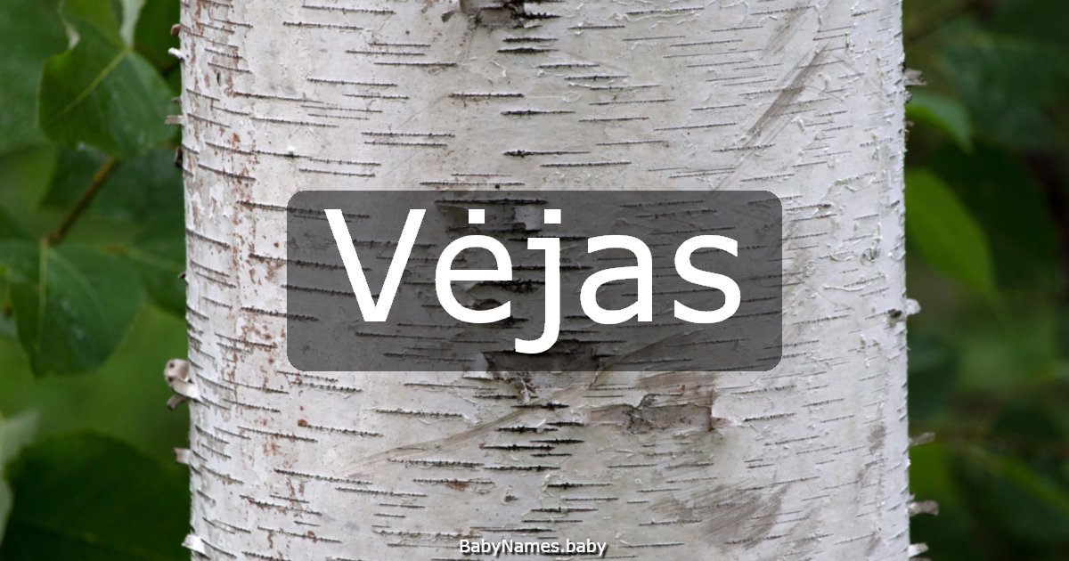 Vėjas