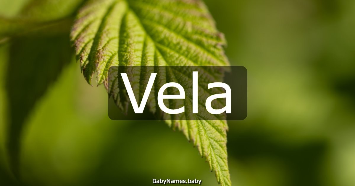 Vela