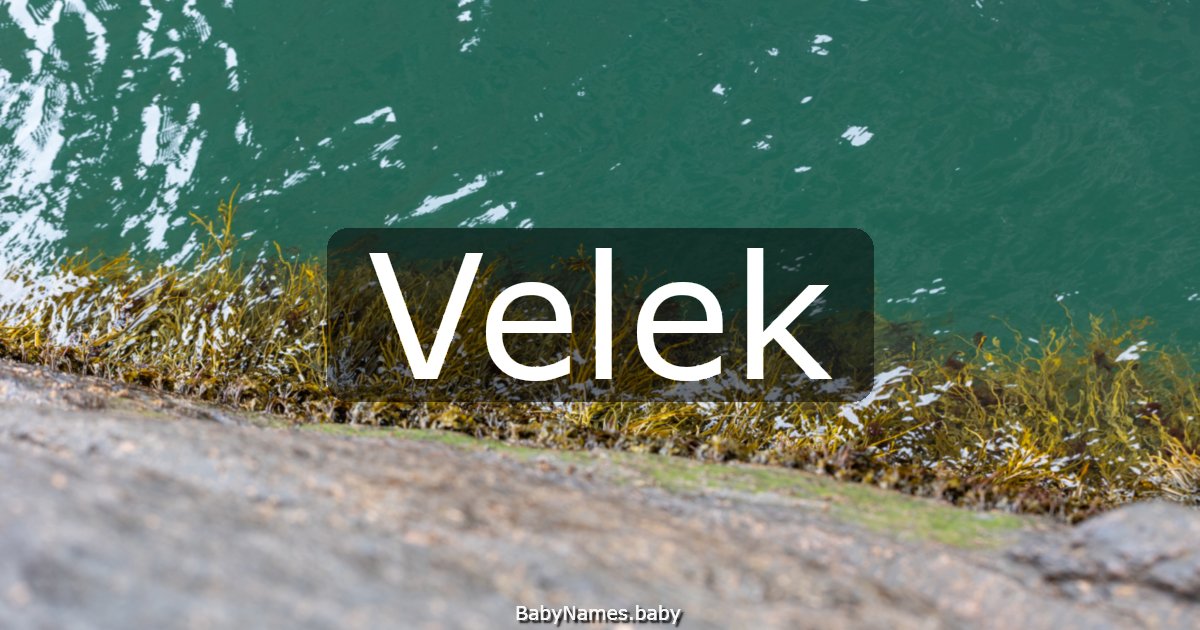 Velek