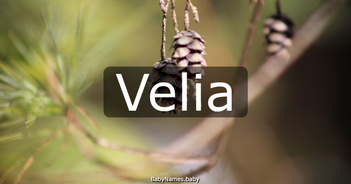 Velia