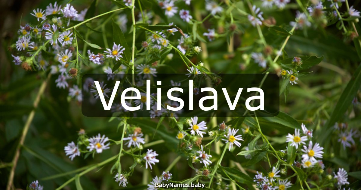 Velislava