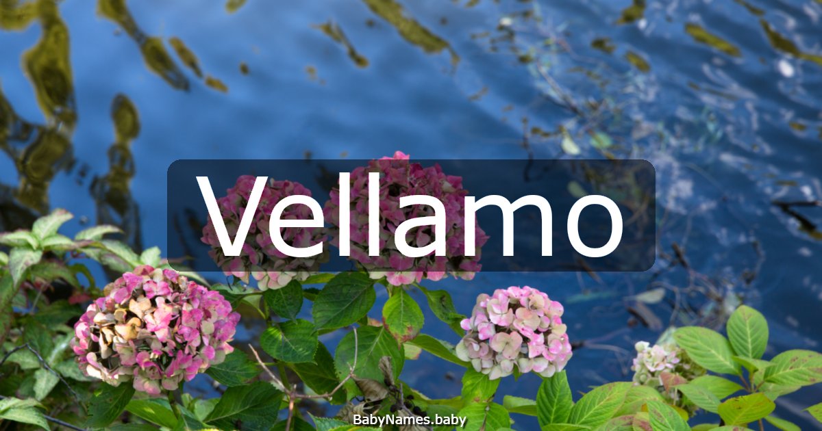 Vellamo
