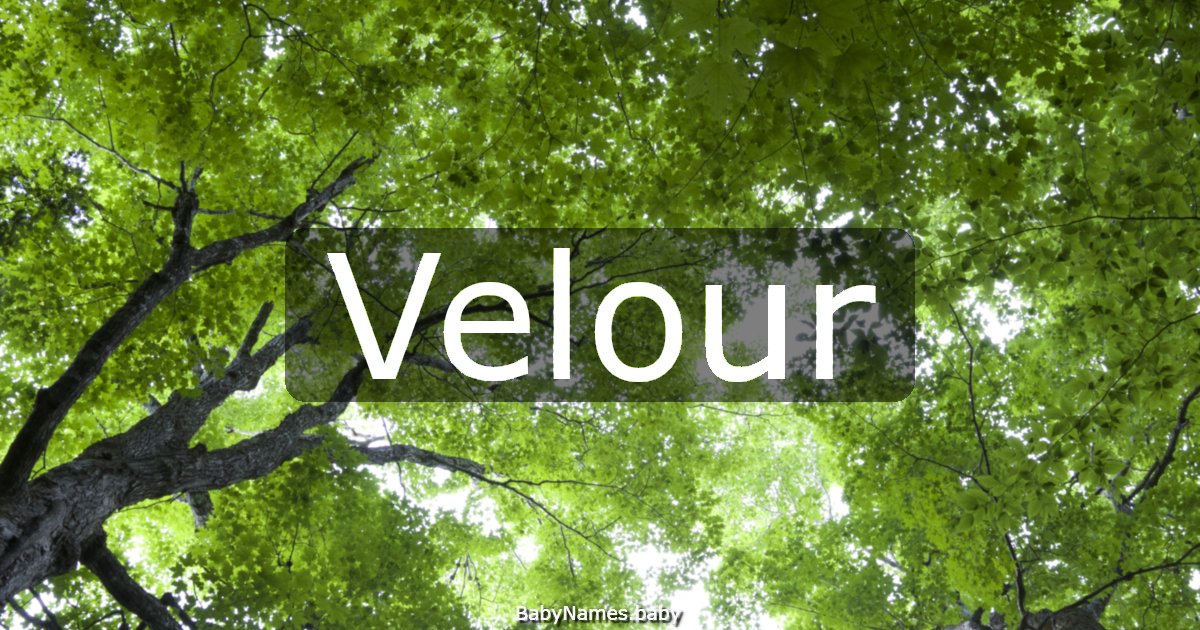Velour