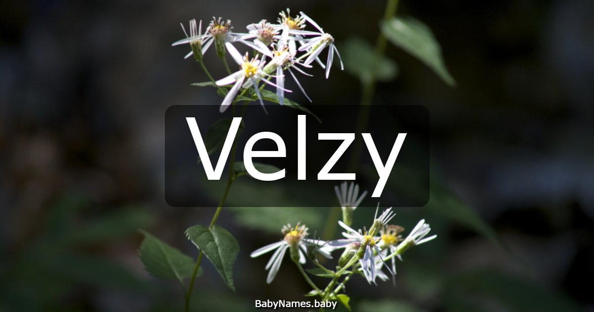 Velzy
