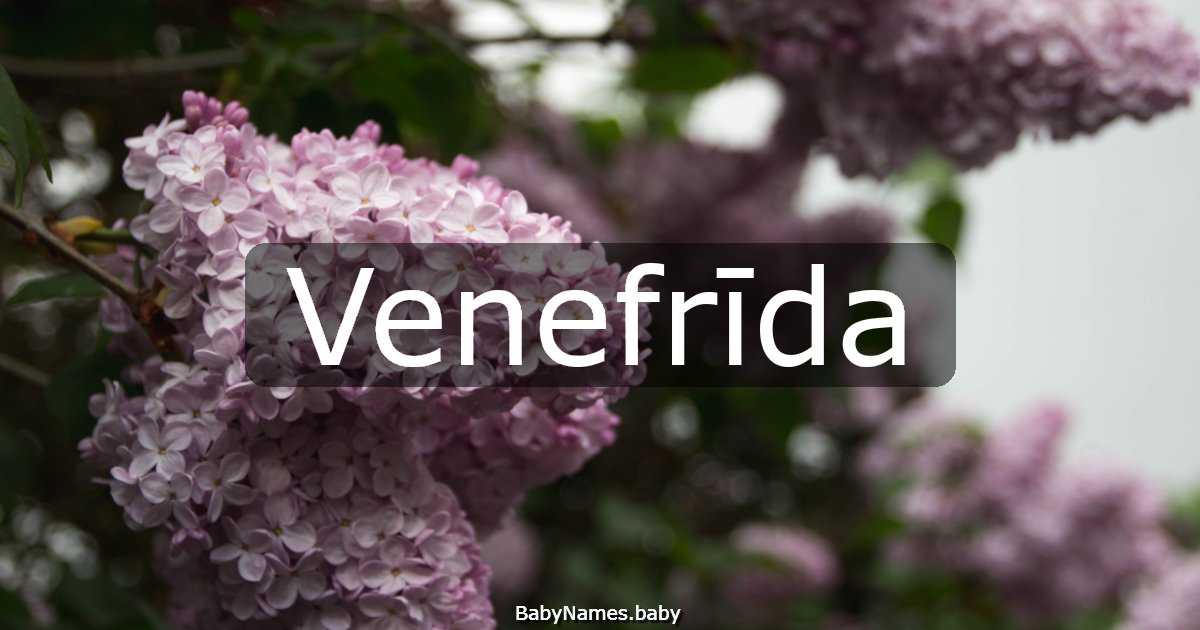 Venefrīda