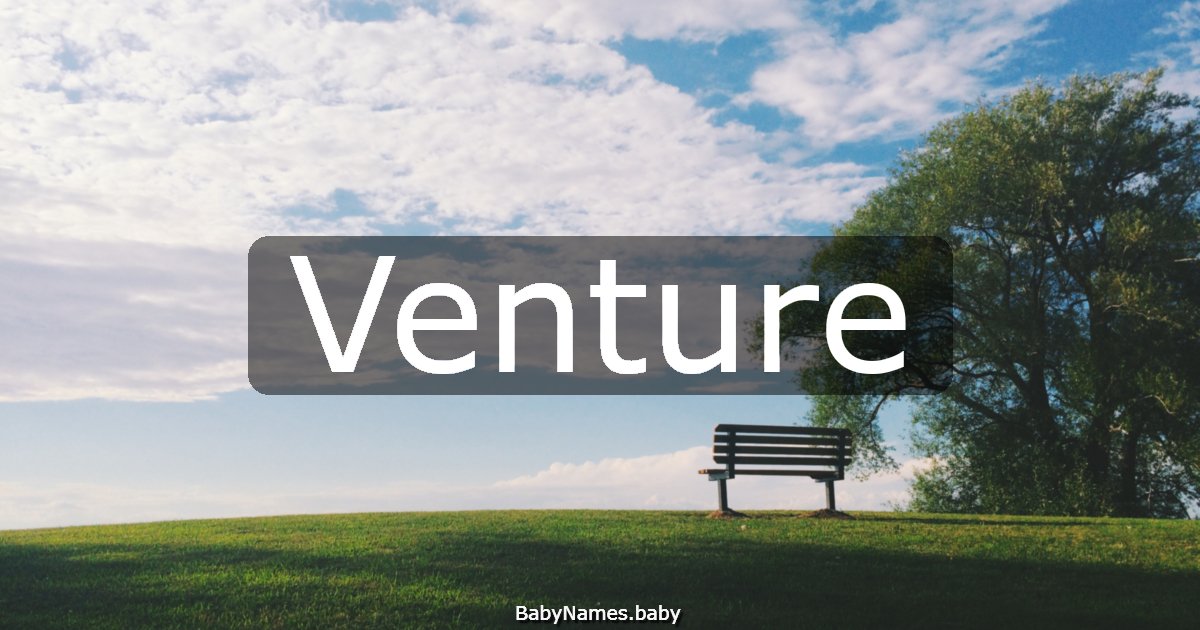 Venture
