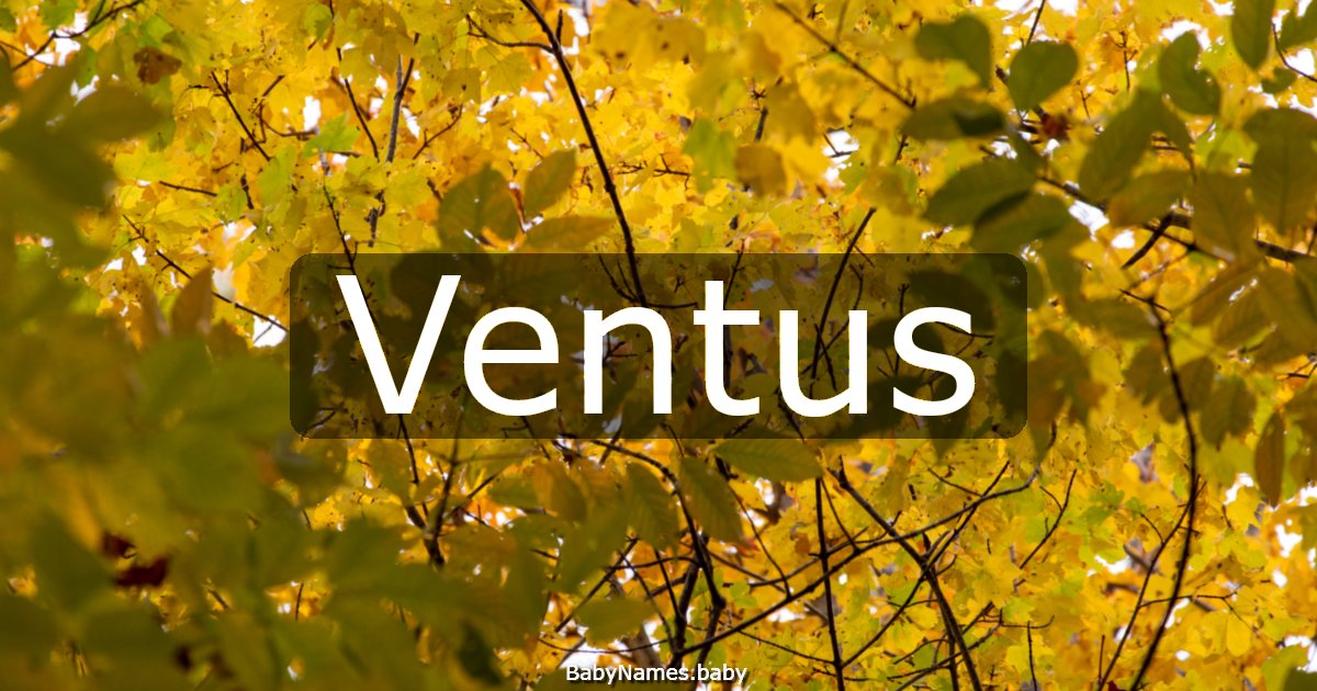 Ventus