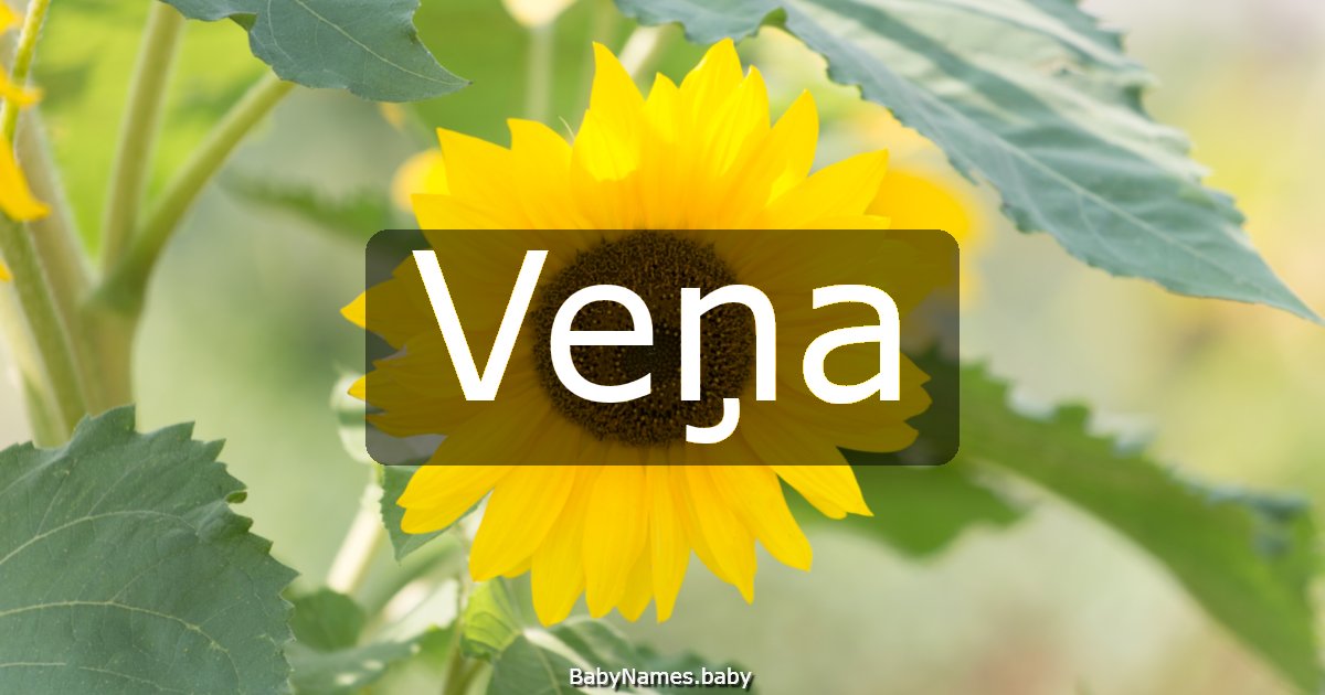 Veņa