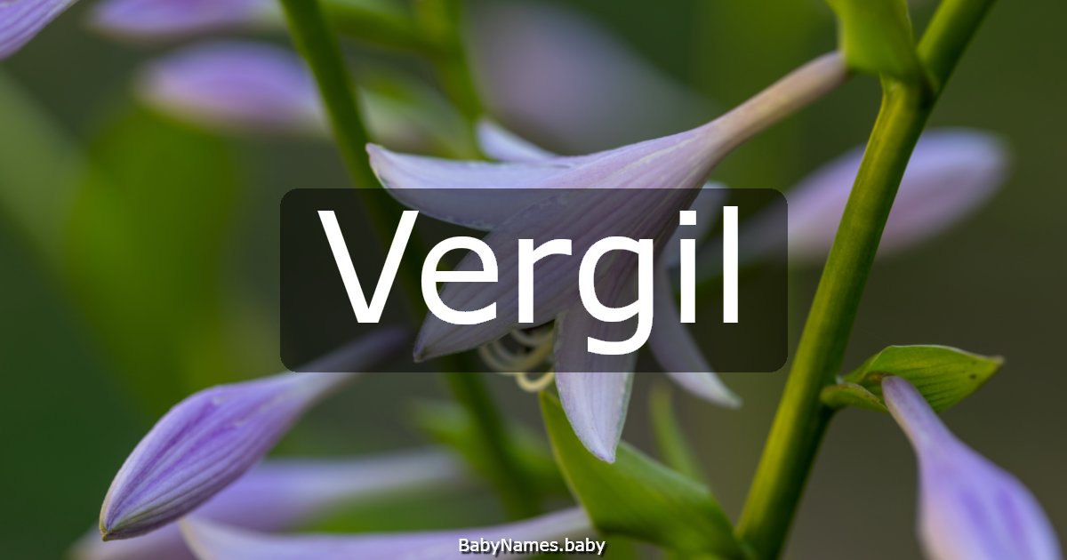 Vergil