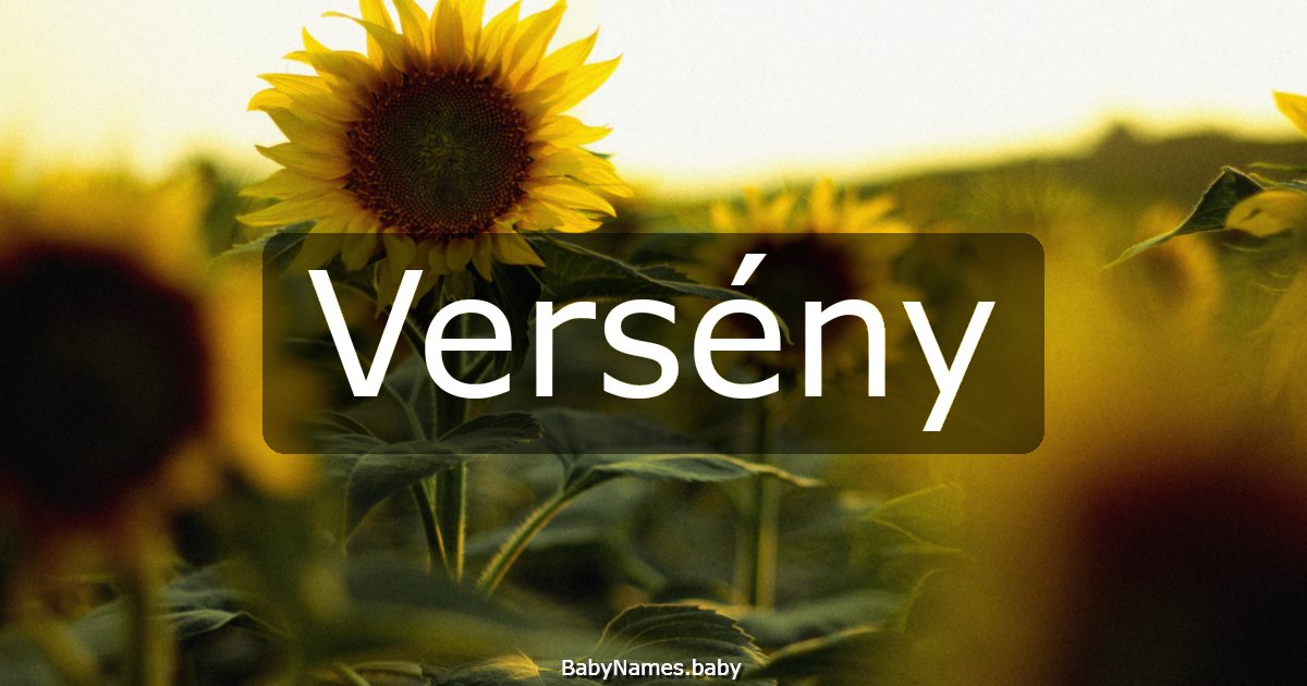 Versény