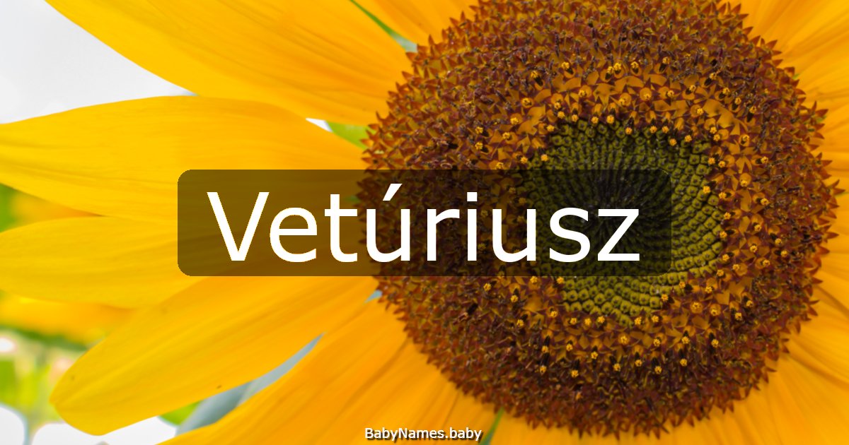 Vetúriusz