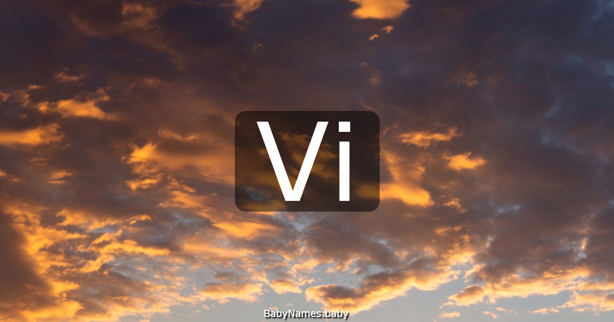 Vi
