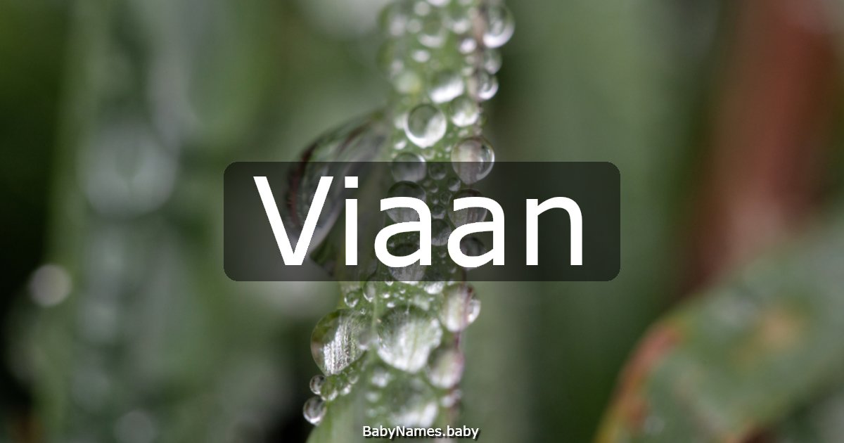 Viaan