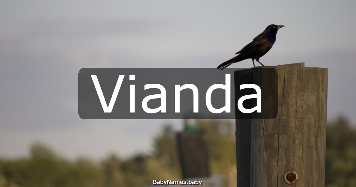 Vianda