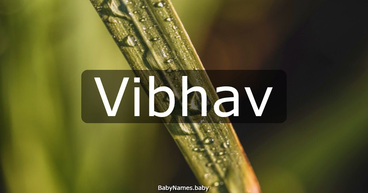 Vibhav