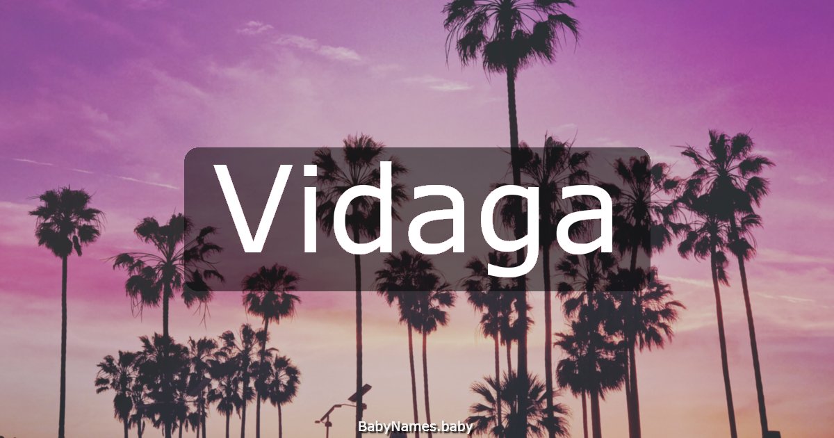 Vidaga