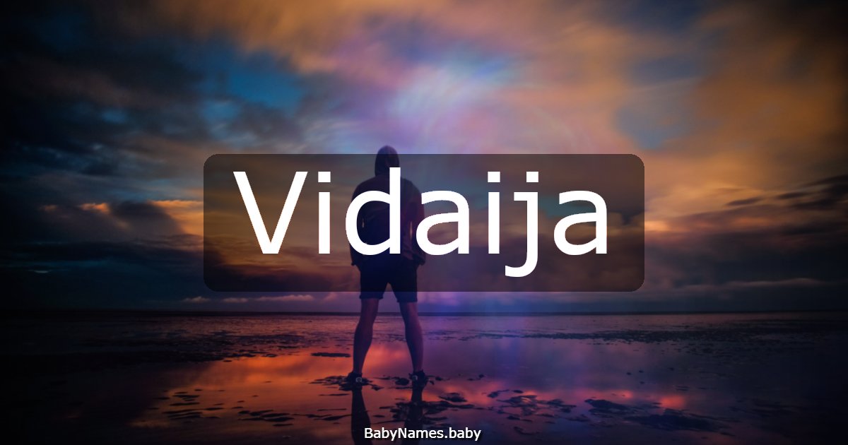 Vidaija